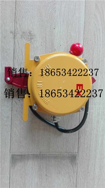 HFKLT2-I双向拉绳开关厂家，德产HFKLT2-I双向拉绳开关
