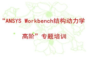 ANSYS Workbench结构动力学高阶专题培训