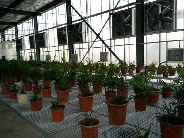 供应【种植采暖锅炉设备】