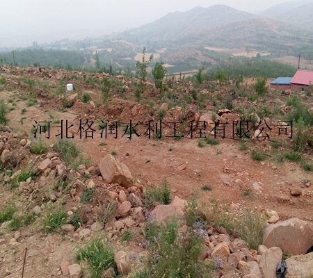 山西临汾吉县果树滴灌管价格|出流稳定