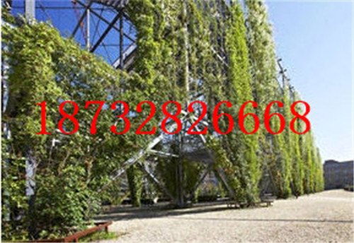 鸟网/动物园专用不锈钢绳网/森林公园围栏厂家