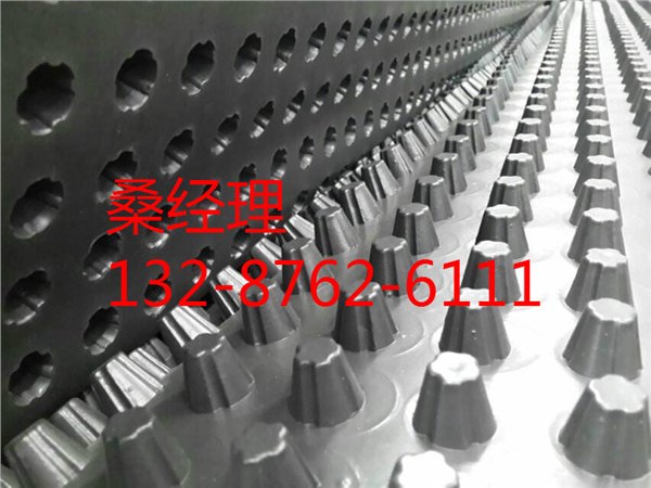 批发、2公分排水板、凹凸型塑料排水层
