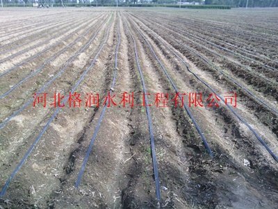 山西忻州五寨大田滴灌带|格润水利专业生产