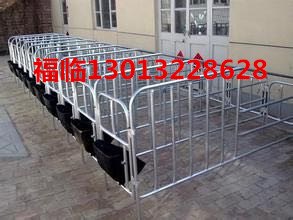 自动料线控制箱料线主机自动主机养猪自动化设备
