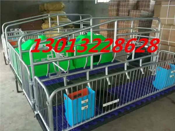 猪场自动化喂料设计图纸安装料线母猪料线育肥料线