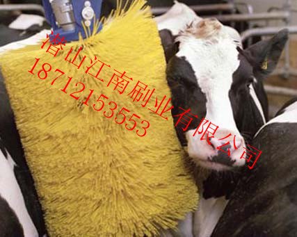 安徽江南牌牛体刷设备 奶牛挠痒刷 带感应牛体按摩刷机