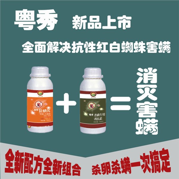 高效红蜘蛛组合药柑橘杀螨剂超级组合阿维乙螨唑杀螨剂