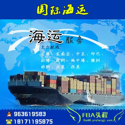 海运到美国亚马逊双清包税到门货代美国海运DDU
