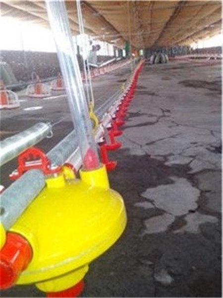 新一代嘉汇牌乳头供水喂水饮水器专用设备
