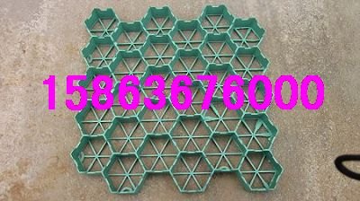 植草格厂家/塑料植草格价格