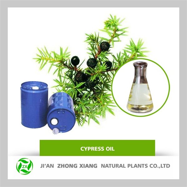 吉安丝柏油厂家首选中香植物