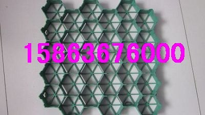 塑料植草格/植草格/塑料植草格