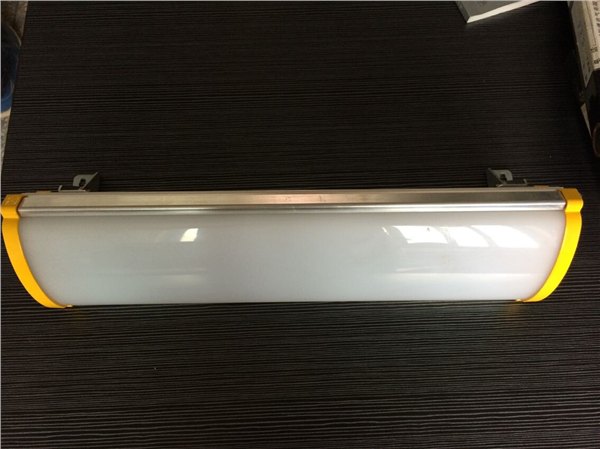 BLD180-LED18W防爆高效节能荧光灯