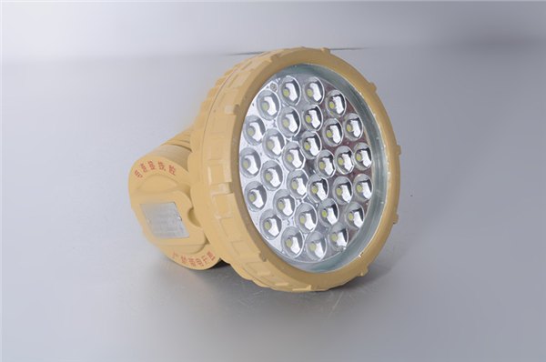 BLD220-LED100W防爆高效节能灯厂家型号
