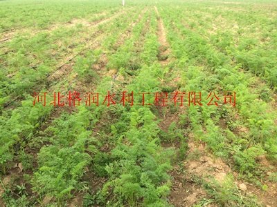 出水带|内蒙古赤峰克什农用滴灌带