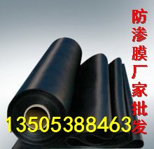 三门水产养殖膜黑色土工膜