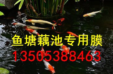 焦作鱼塘养殖膜/HDPE土工膜
