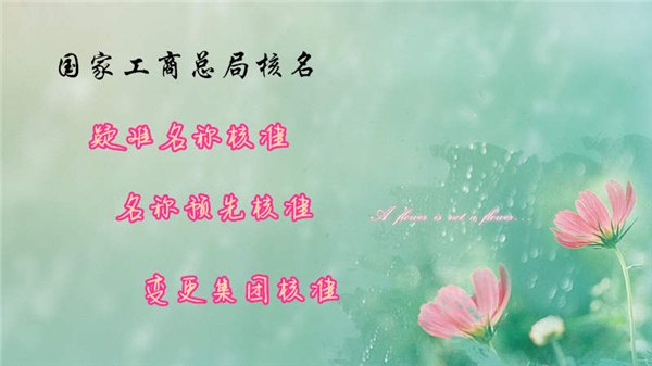 工商核名总局核名企业核名