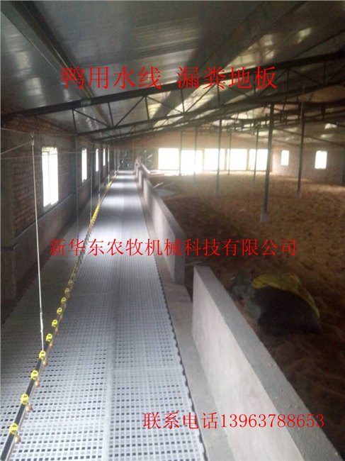 供应原装进口设备散养专用禽养底盘平网
