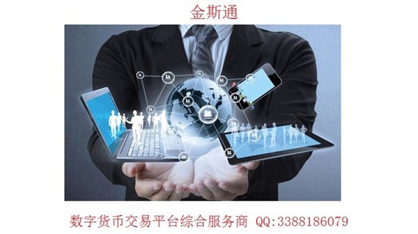 深圳金斯通科技,开发虚拟币,深圳金斯通科技