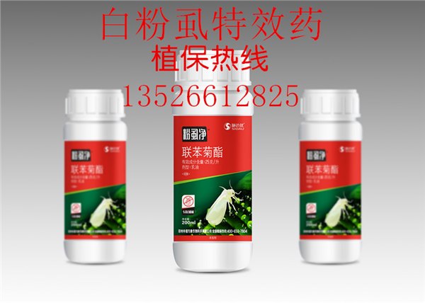 专打蔬菜抗性烟粉虱特效药粉虱净杀虫更快全新配方特效杀虫