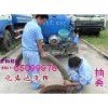 苏州吴中区越溪镇环卫所抽粪