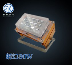 30wLED冷库灯哪家好