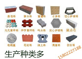 厂家供应17年畅销的河北水泥砖