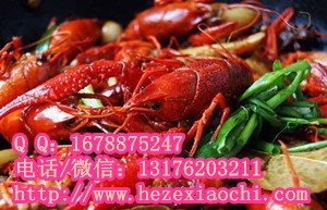 菏泽麻辣小龙虾加盟麻辣花哈培训临沂特色炒海鲜技术配方学习资料