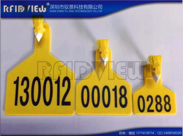 驭景科技批发肥牛肥羊电子耳标供保险公司专用
