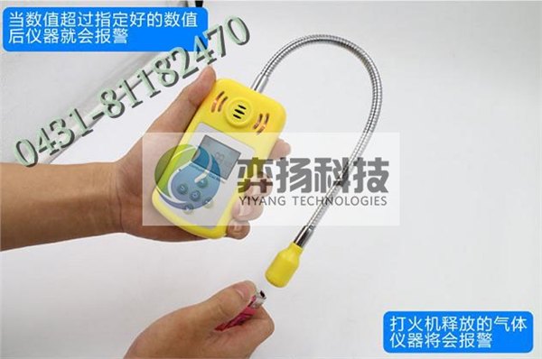 哈尔滨天然气检漏仪,燃气检漏仪