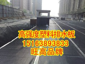 1.6公分排水板厂家 1.6公分排水板  1.6公分排水板规格型号