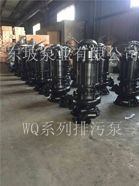 大口径潜水排污泵-天津东坡自动搅匀潜水排污泵