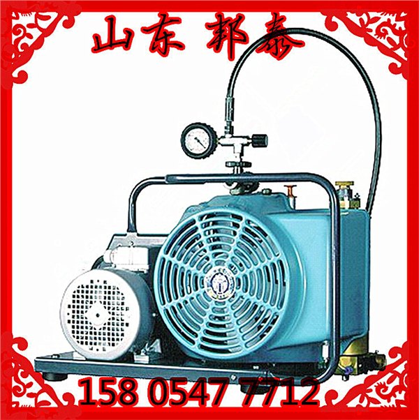 宝华原装空气充气泵JuniorII原装进口现货直销