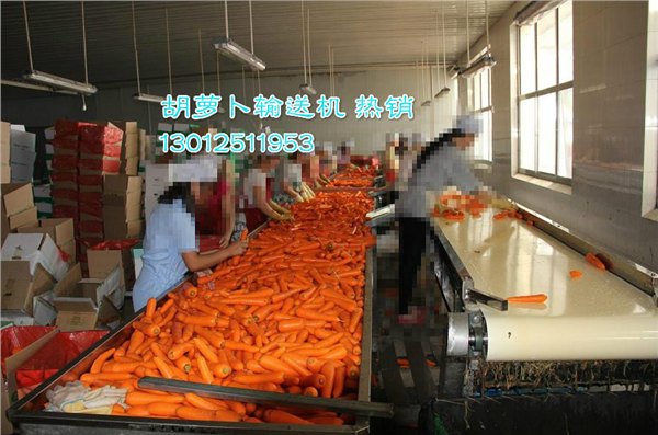 优质皮带输送机，效率高，价格低