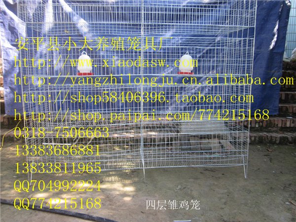 狐狸笼、鹌鹑笼、鸽子笼、兔子笼、鸡笼、鸟笼、运输笼、鸡鸽兔笼