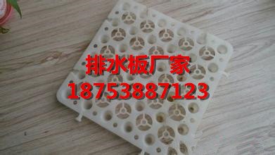 津市2公分聚乙烯排水板厂家直销