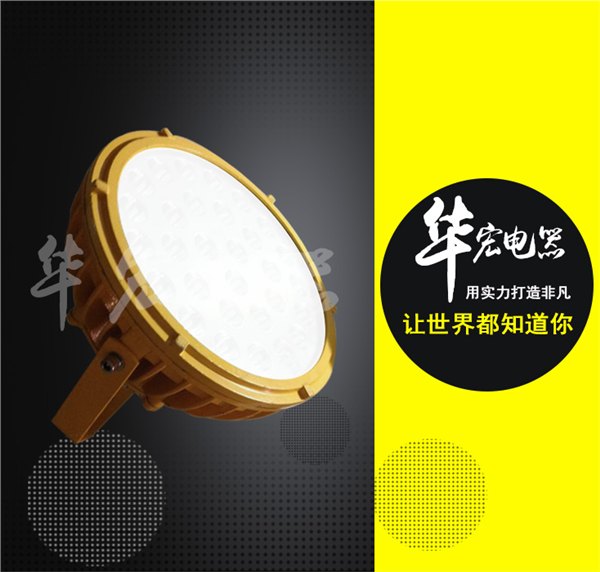BC9303LED 防爆投光灯 高效节能LED防爆灯