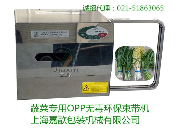 微型捆扎机 全自动佛香扎把机 蒜台小型打包机