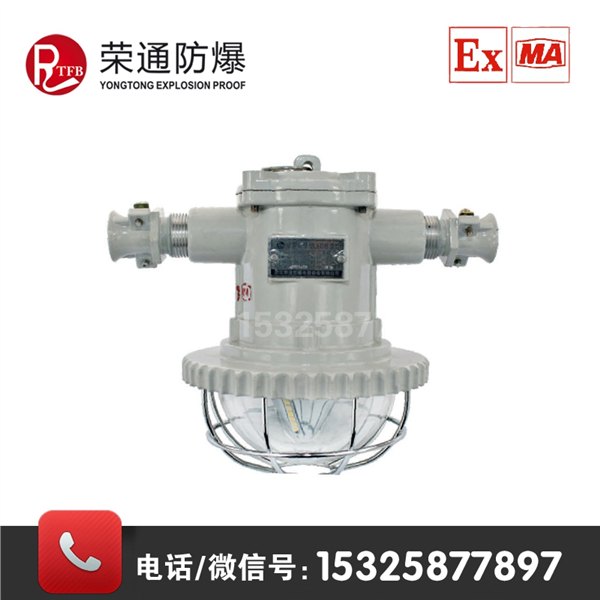 荣通正品 DGS18/127L防爆巷道灯 圆形led巷道灯