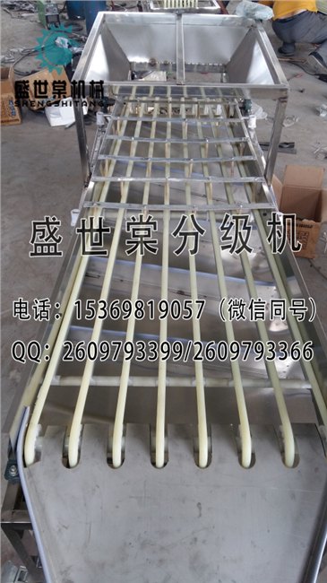 盛世棠番茄挑果机