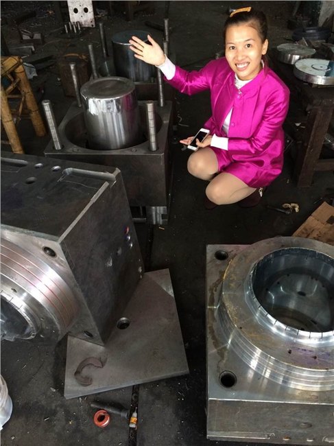 注塑模工厂 1L八角密封包装桶塑料模具 塑料3升八角防冻液桶模具加工