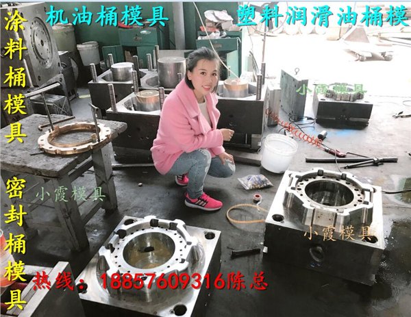 模具公司 2升注塑防冻液桶模具 8升注塑密封包装桶模具工厂地址