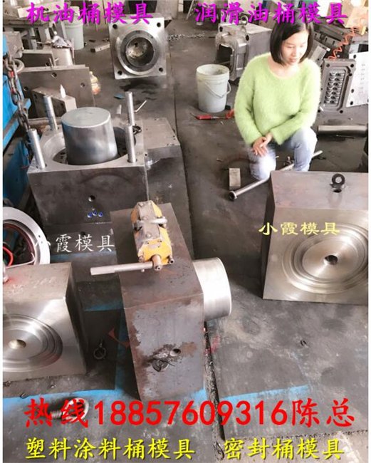 专业包装注塑防冻液密封桶模具 15升注塑密封桶模具供应商厂