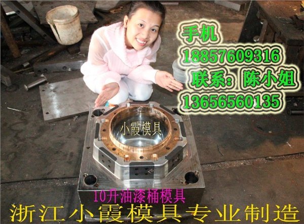 注射模工厂 5升注塑防冻液桶模具 6升注塑密封包装桶模具公司地址