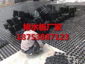 松滋4公分屋顶种植排水板厂家欢迎您