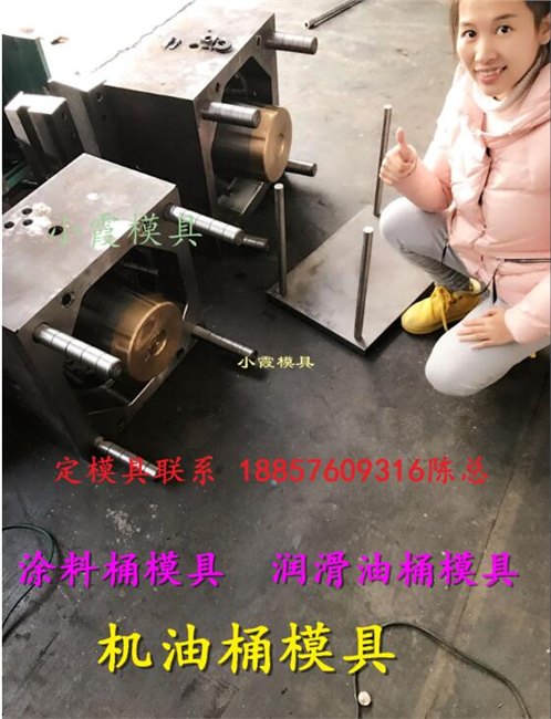 注塑模公司 塑料防冻液密封桶模具 塑料11升八角防冻液桶模具工厂地址