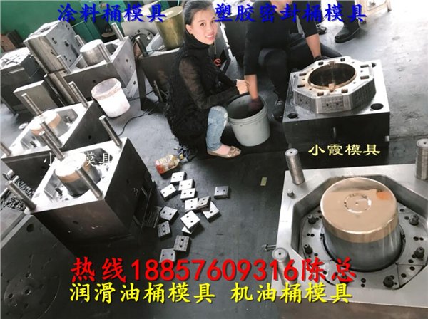 注塑模具工厂 20升注塑密封桶模具 5升注塑密封包装桶模具供应商厂