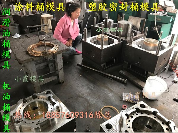台州塑料模具厂 12升注塑防冻液桶模具 19升注塑防冻液桶模具价格