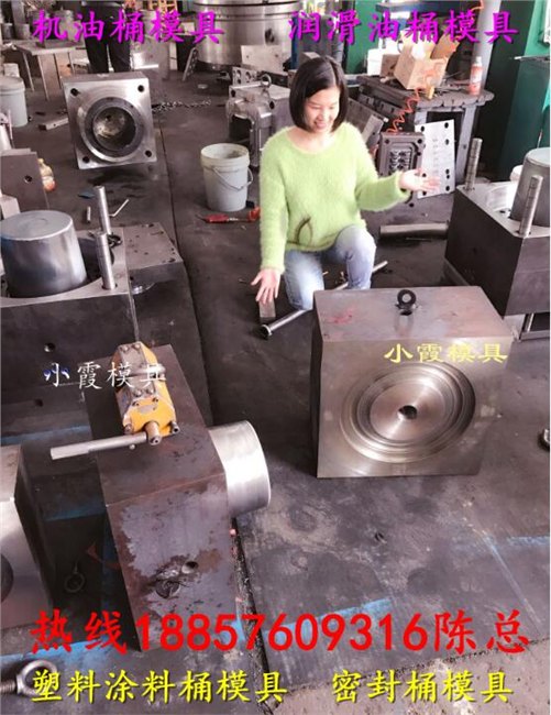 开塑料模具 10升注塑防冻液桶模具 19升注塑密封桶模具供应商地址